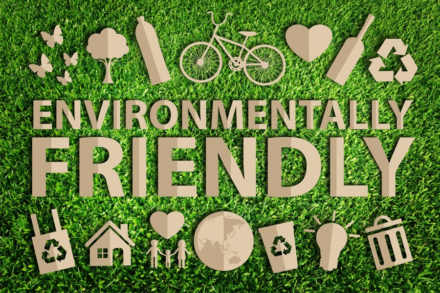 Fresh Organic Vegetables